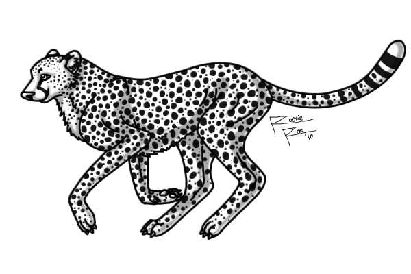 Run Cheetah Run! :D