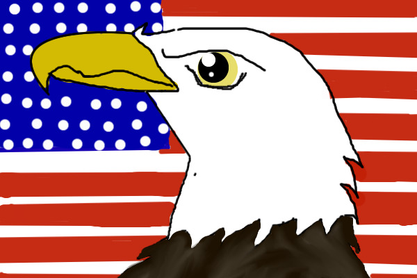 Bald Eagle of America