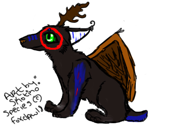 Indian war pony deerf