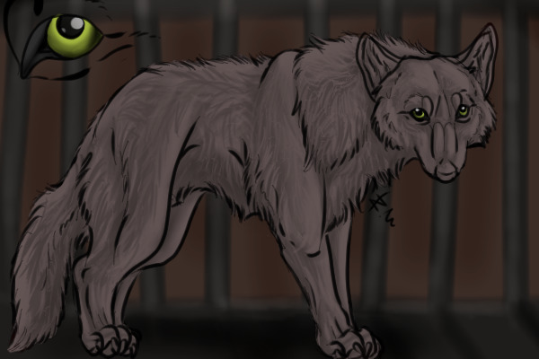 Adopt A Poor Dog/Wolf -CLOSED to finish customs-