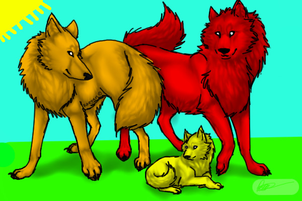 wolf family