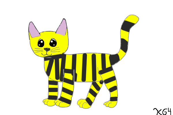 my cat