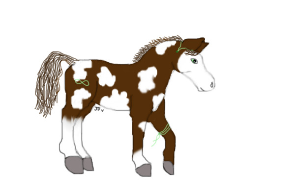 Horse Revamp for SCAA...