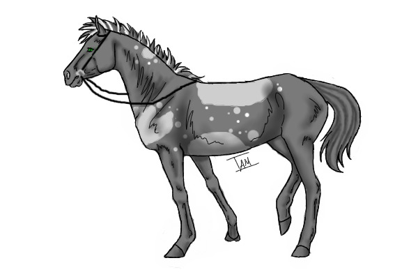 Entrie for SilverHorse's comp