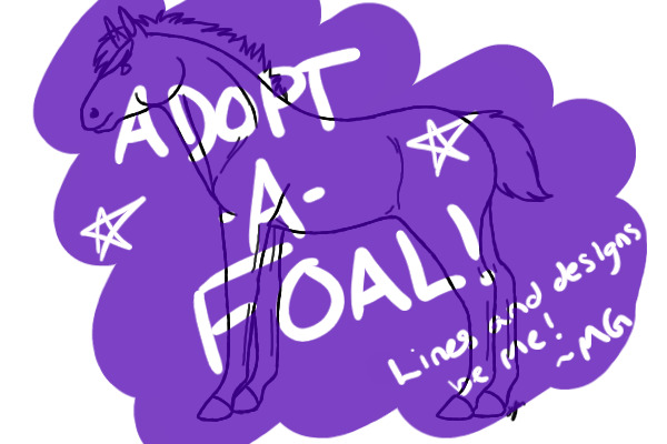 Adopt-A-Foal! - First foal up for adoption!