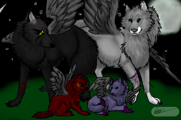 wolf family at night