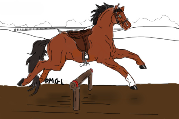Coloured in Bay Horse Jumping