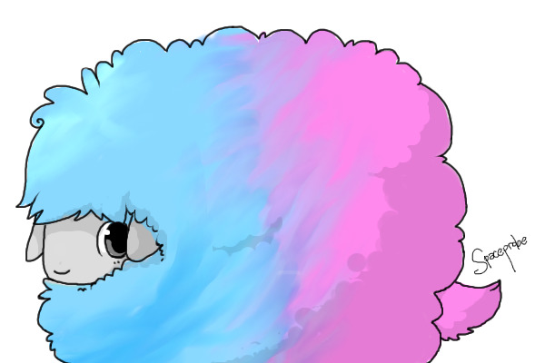 Cotton Candsheep