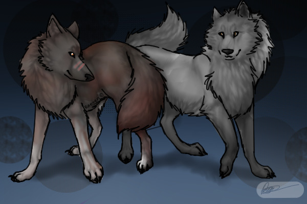 Kobuck and Akela