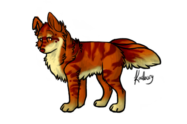 Tiger Advent Dog