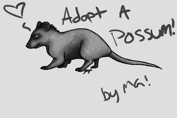 Adopt A Possum!
