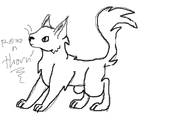 make your own warrior cat!