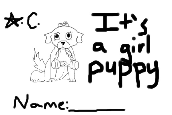Free Puppies!!!!!!!!!!!!