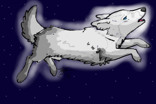Star wolf!