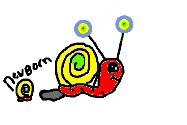 dot snail