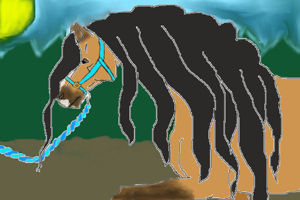 horse in the woods
