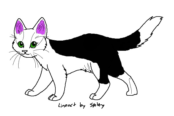 kitty!