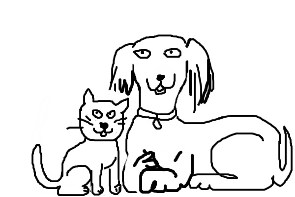 dog with cat