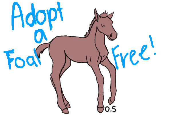 Adopt-a-foal ~ Free!