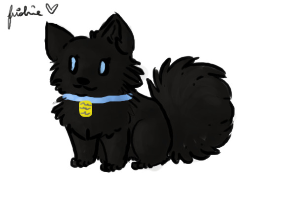 Black Puppy