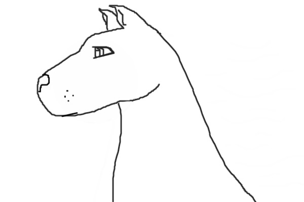 MAke a beautiful horse
