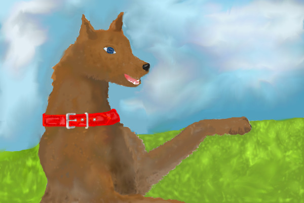 dog