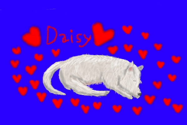 Daisy <3