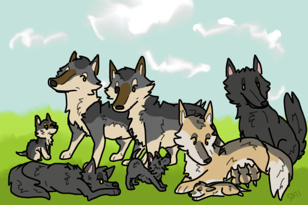 Wolf Pack