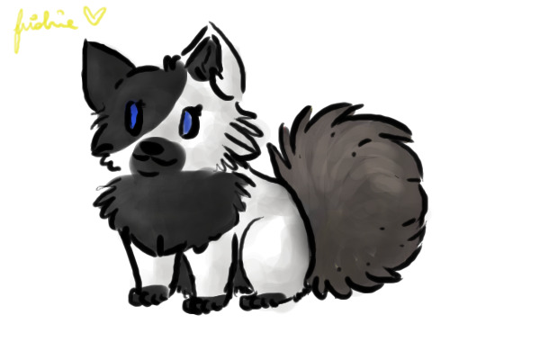 Black and white pup