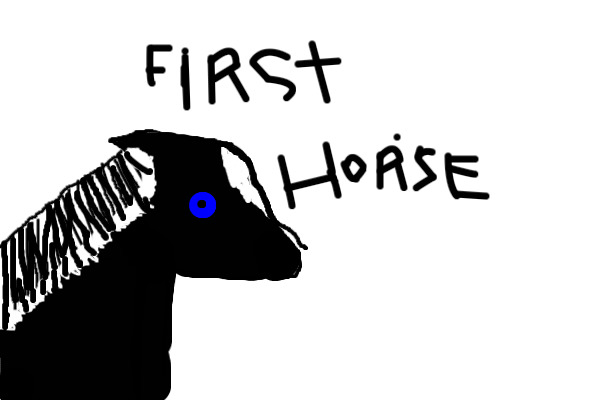 its mah first horse