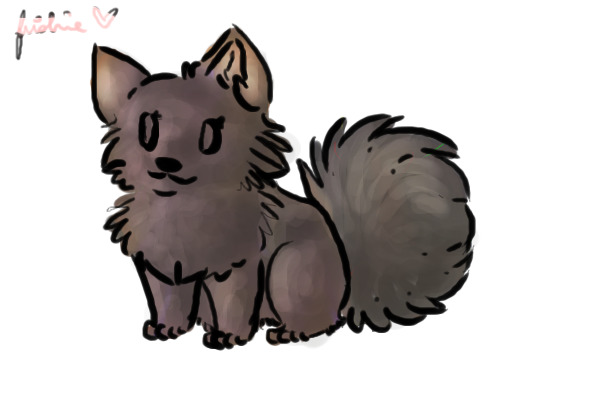 puppy