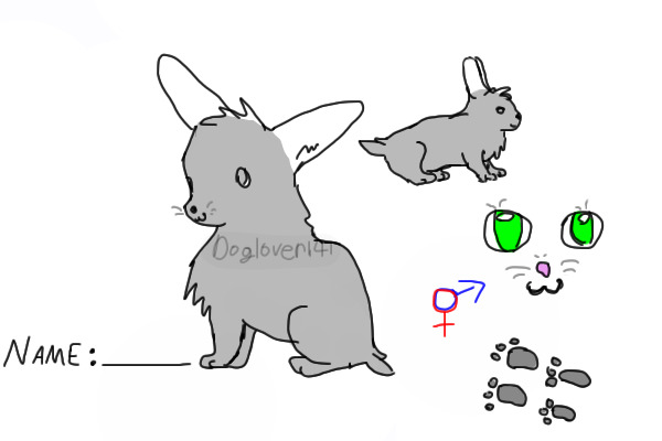 Bunny Reference Sheet