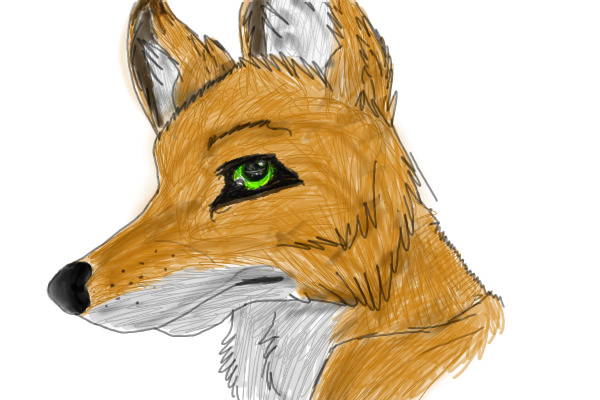 Fox Sketch Thing