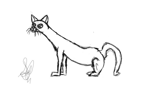 Warrior Cat Sketch