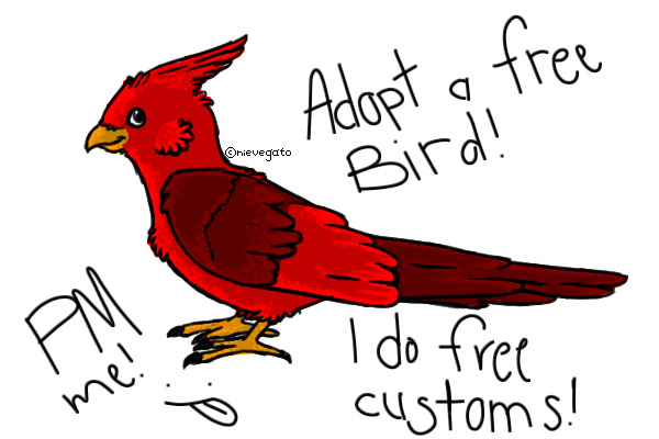 Adopt a FREE birdy!