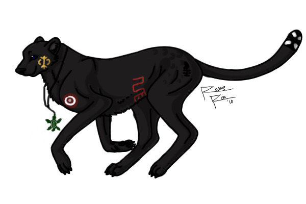 Adrinka Cheetah for Kavik alpha wolf