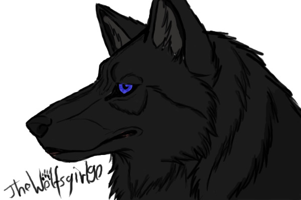 Black WOlf for Snowest