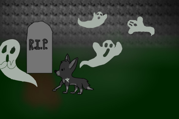 Doggy doesn't see ghosts...