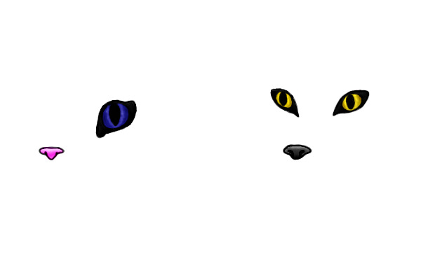 Practicing eyes and noses