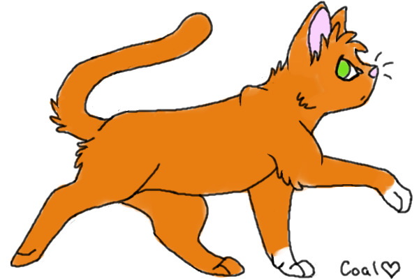 Squirrelflight