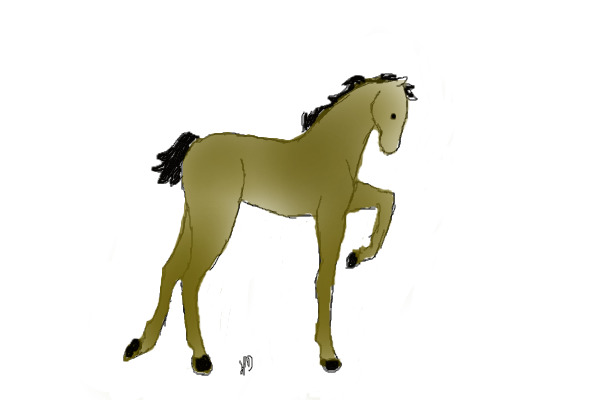 random horse