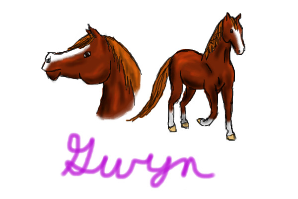 Tribute to Gwyn