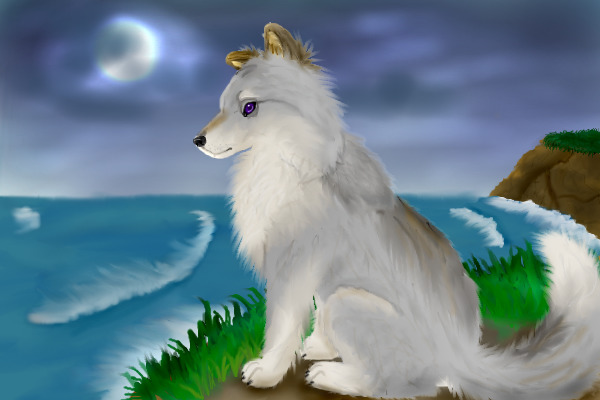 Lone Wolf by the sea *Finish!*