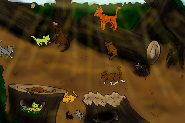 part two the best clan thunderclan