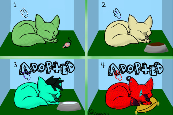 Adoptable foxes!