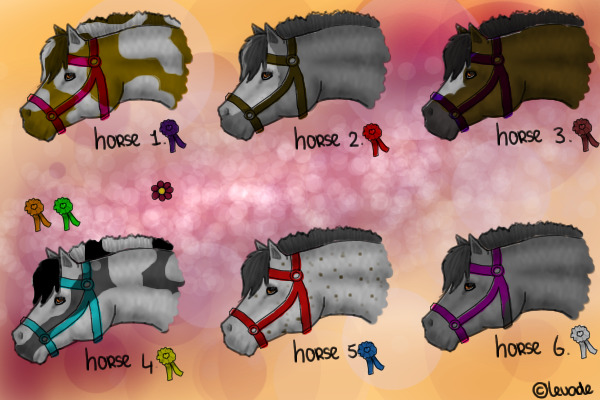 horseys!!