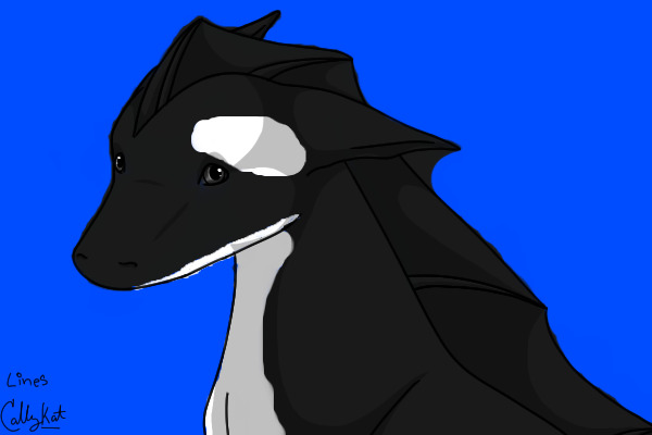 Orca