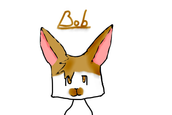 Bob/ Bobtail