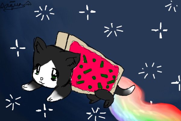 Tallgrass as a Nyan Cat