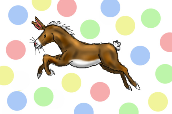 Bunny Horse!